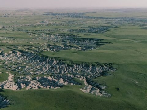 Four giant three-toed prints found in 2025 near Marmarth, North Dakota turned out to be the first trackway ever attributed to an adult T. rex, and the 66.5-million-year-old sequence records a 13-foot stride — the predator was strolling at 3.5 to 4.5 mph, about the – Space Daily